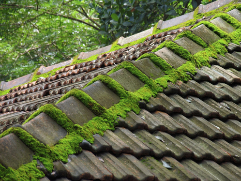 Démoussage de toiture à Cornillon-Confoux